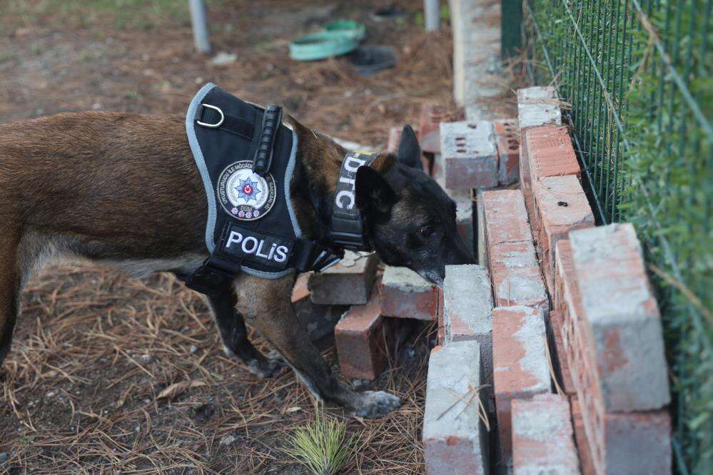 Konya’daki hassas burunların oyunu zehir tacirlerini yakıyor 4
